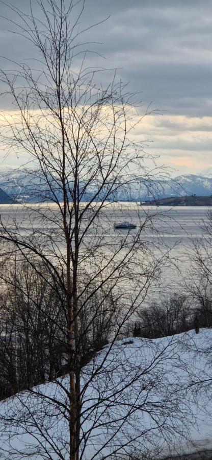 Frydenlund Villa บาเลสตรันด์ ภายนอก รูปภาพ