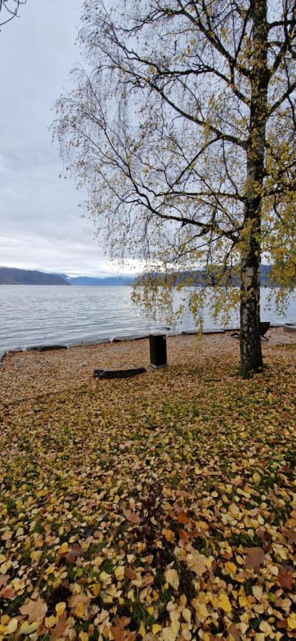 Frydenlund Villa บาเลสตรันด์ ภายนอก รูปภาพ